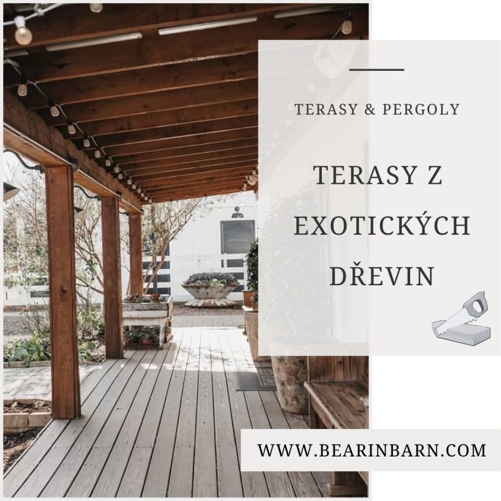 Instagram post from bear_in_barn. This post is in position 2.